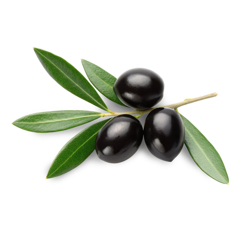olive leaf