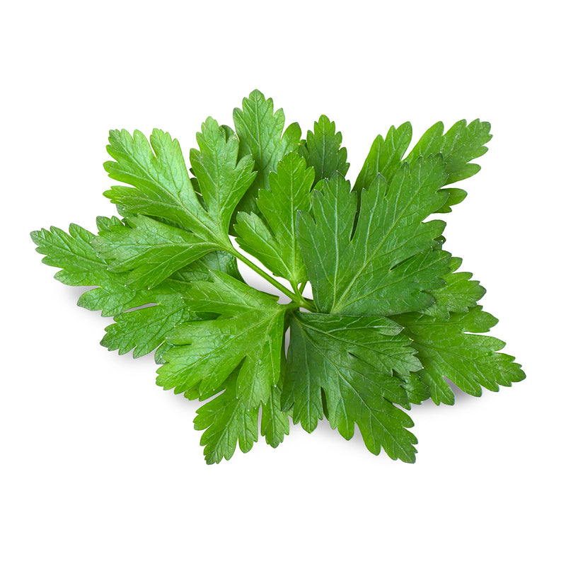 parsley