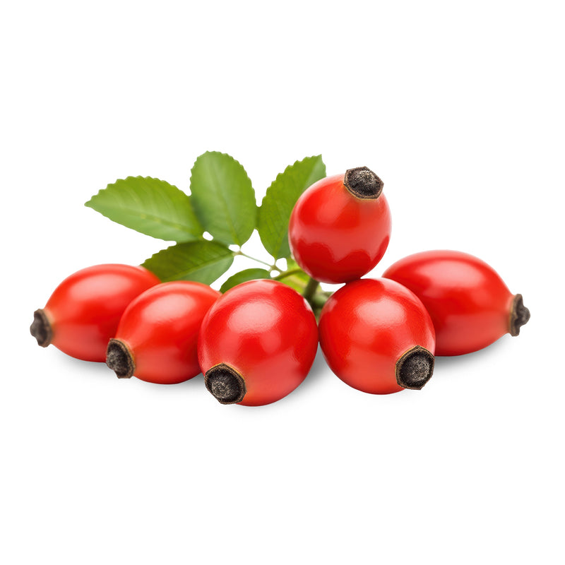 Rose Hips