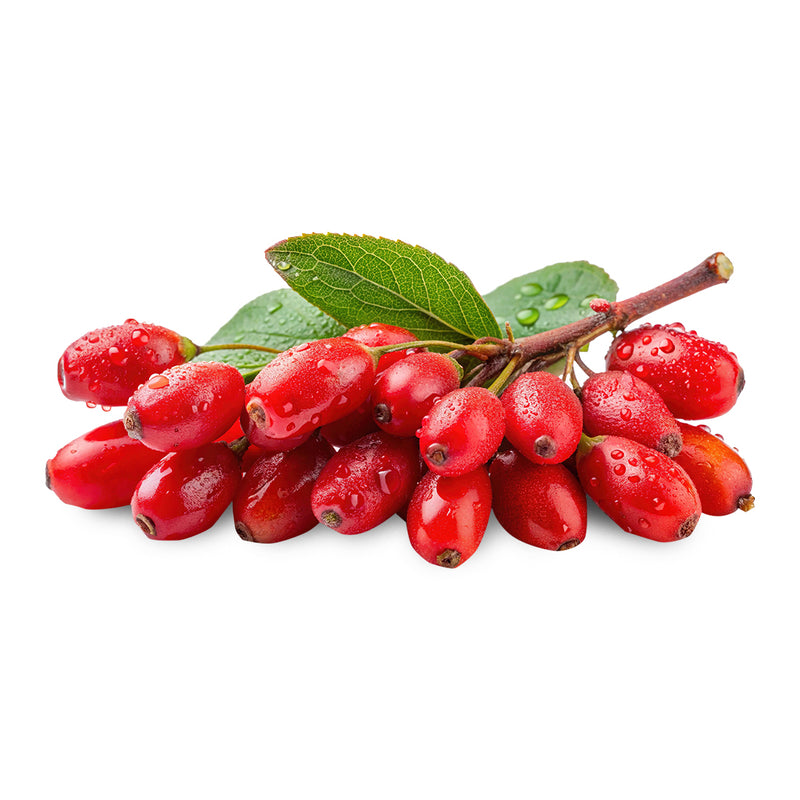 barberry