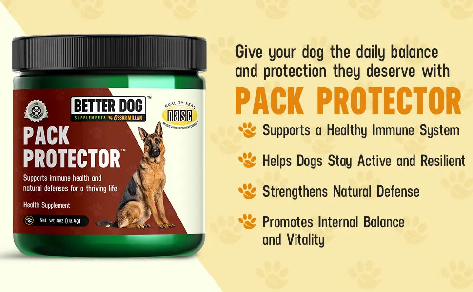 Better Dog Pack Protector supplement jar with promotional text on a beige background