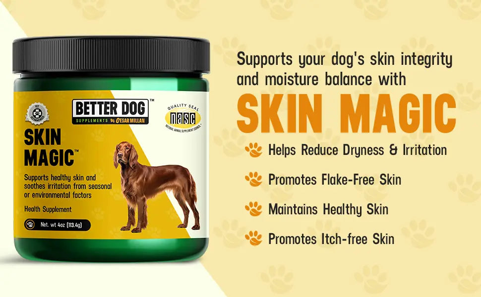 Jar of Better Dog Skin Magic supplement with text on a beige background