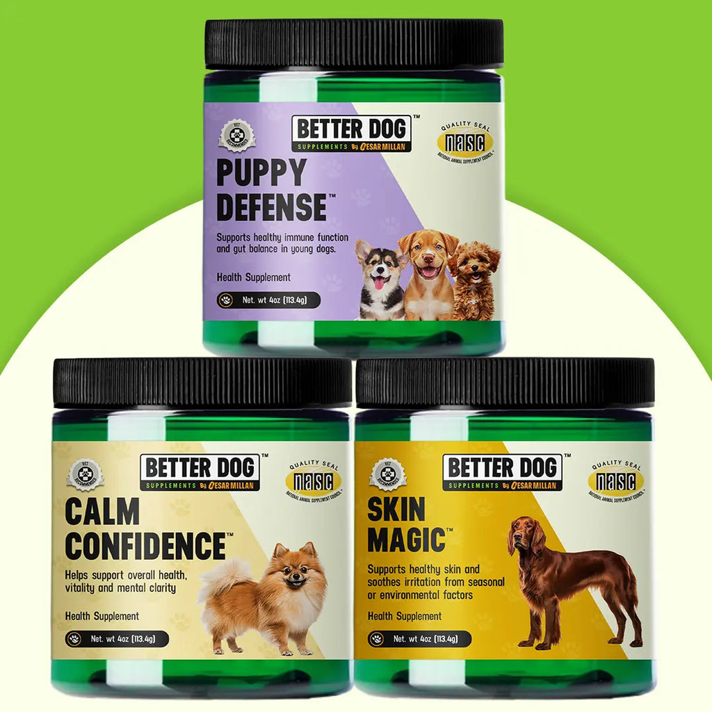 Three jars of Better Dog products on a green and white background