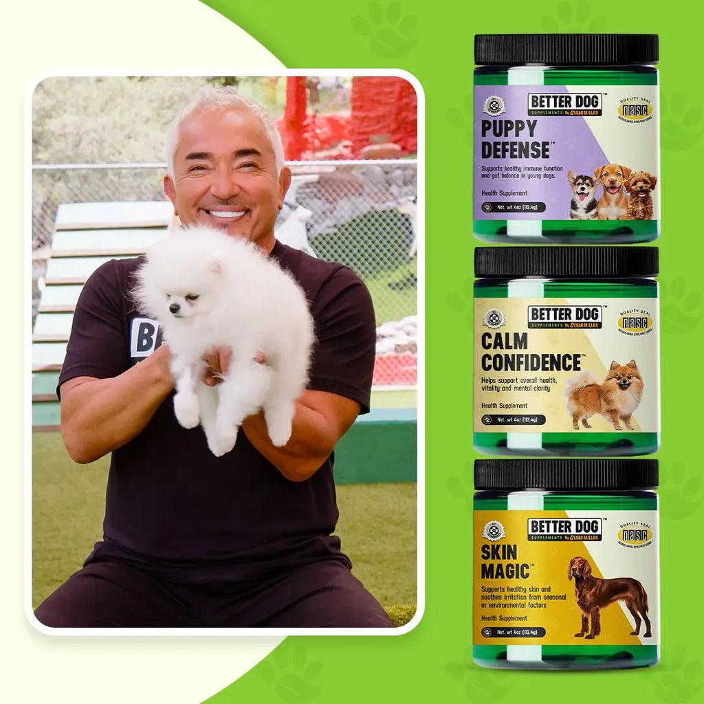 Man holding a small white dog with Better Dog supplement products on a green background
