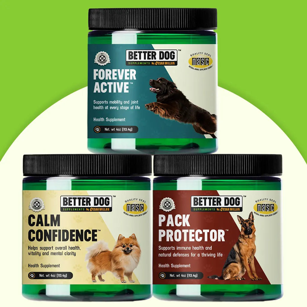 Three jars of Better Dog supplements on a green and white background