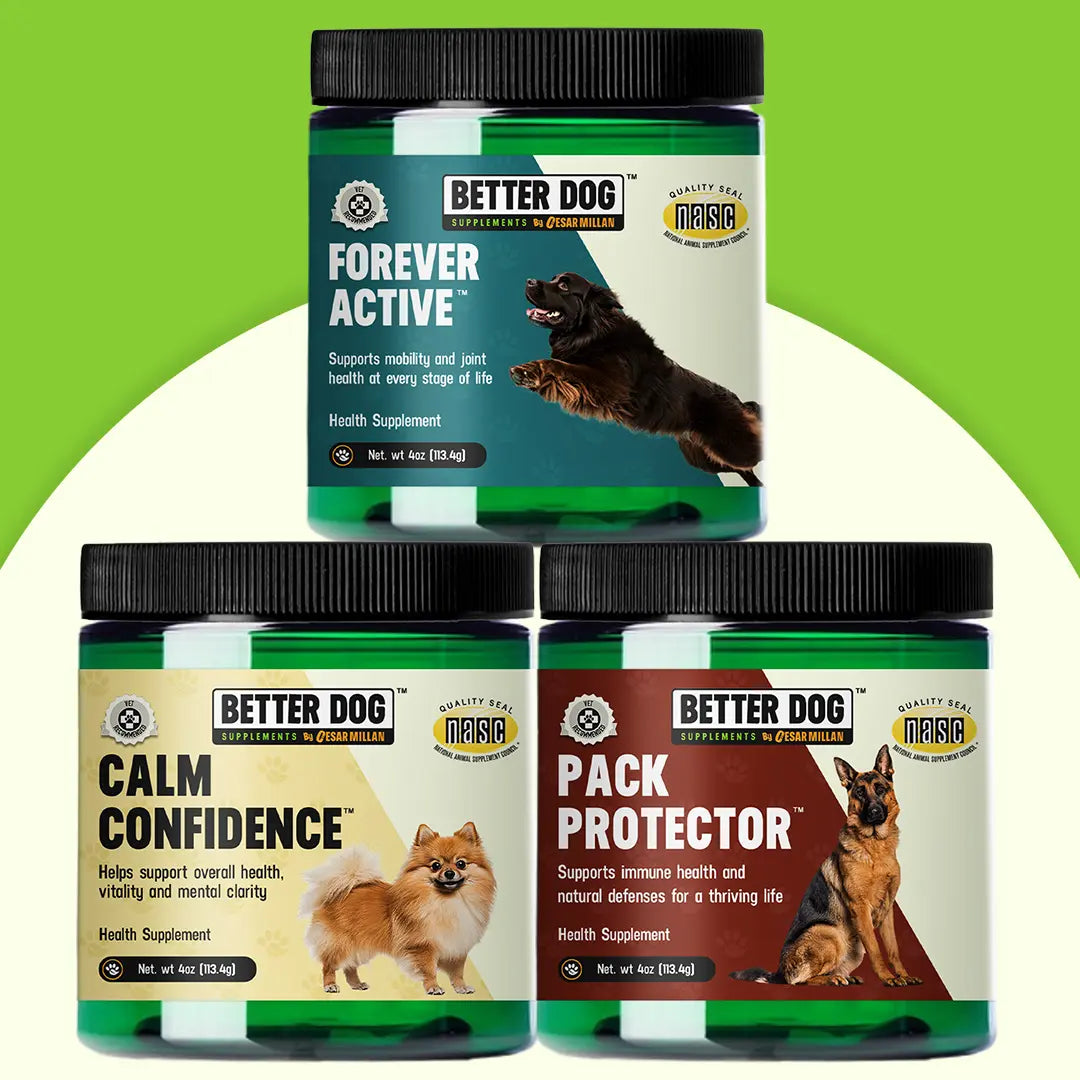 Three jars of Better Dog supplements on a green and white background