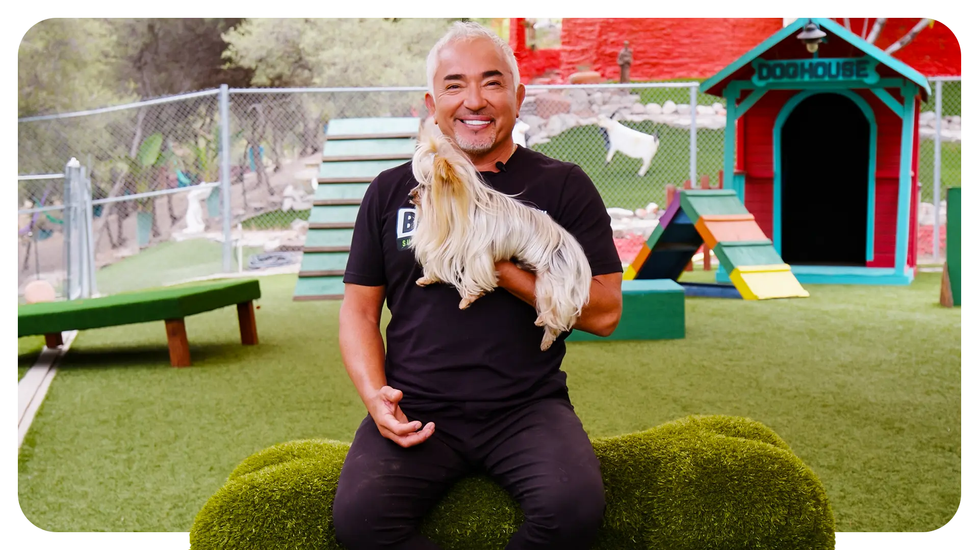 Man holding a dog in an outdoor play area with a colorful doghouse in the background