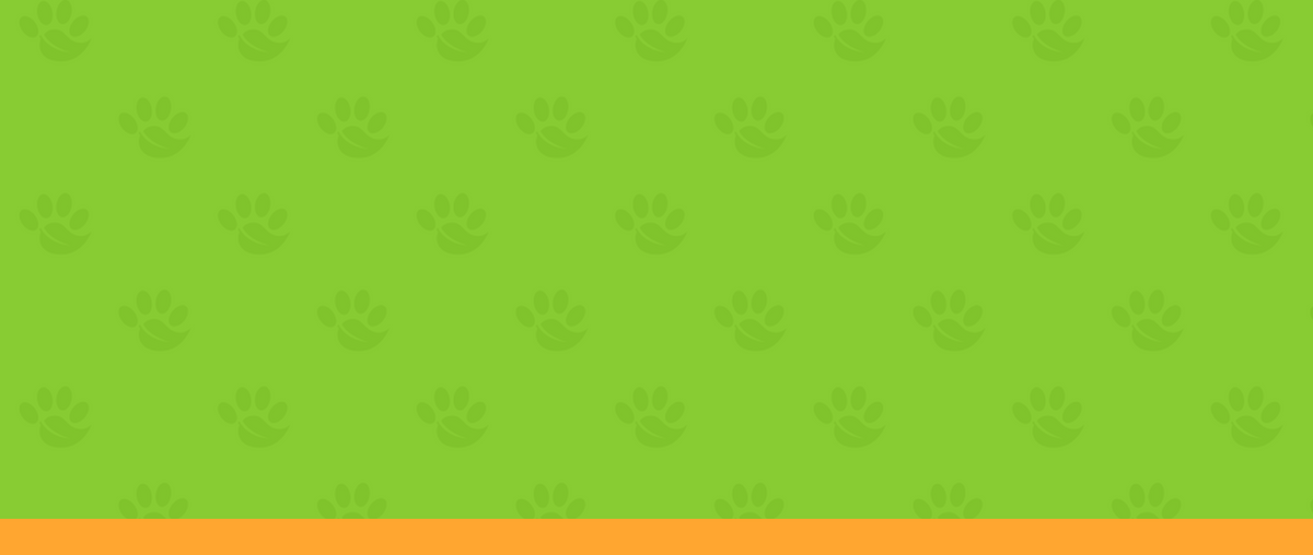 Green background with paw print pattern and orange stripe at the bottom