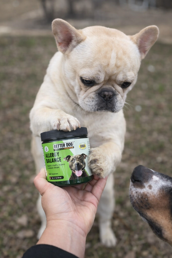 Comfort Without Big Promises