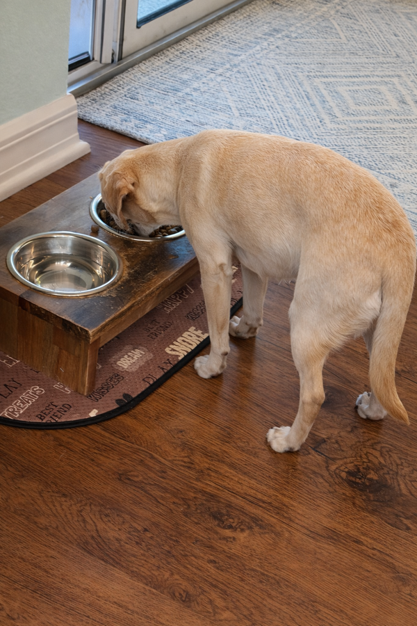 Clean Ingredients I Feel Good About