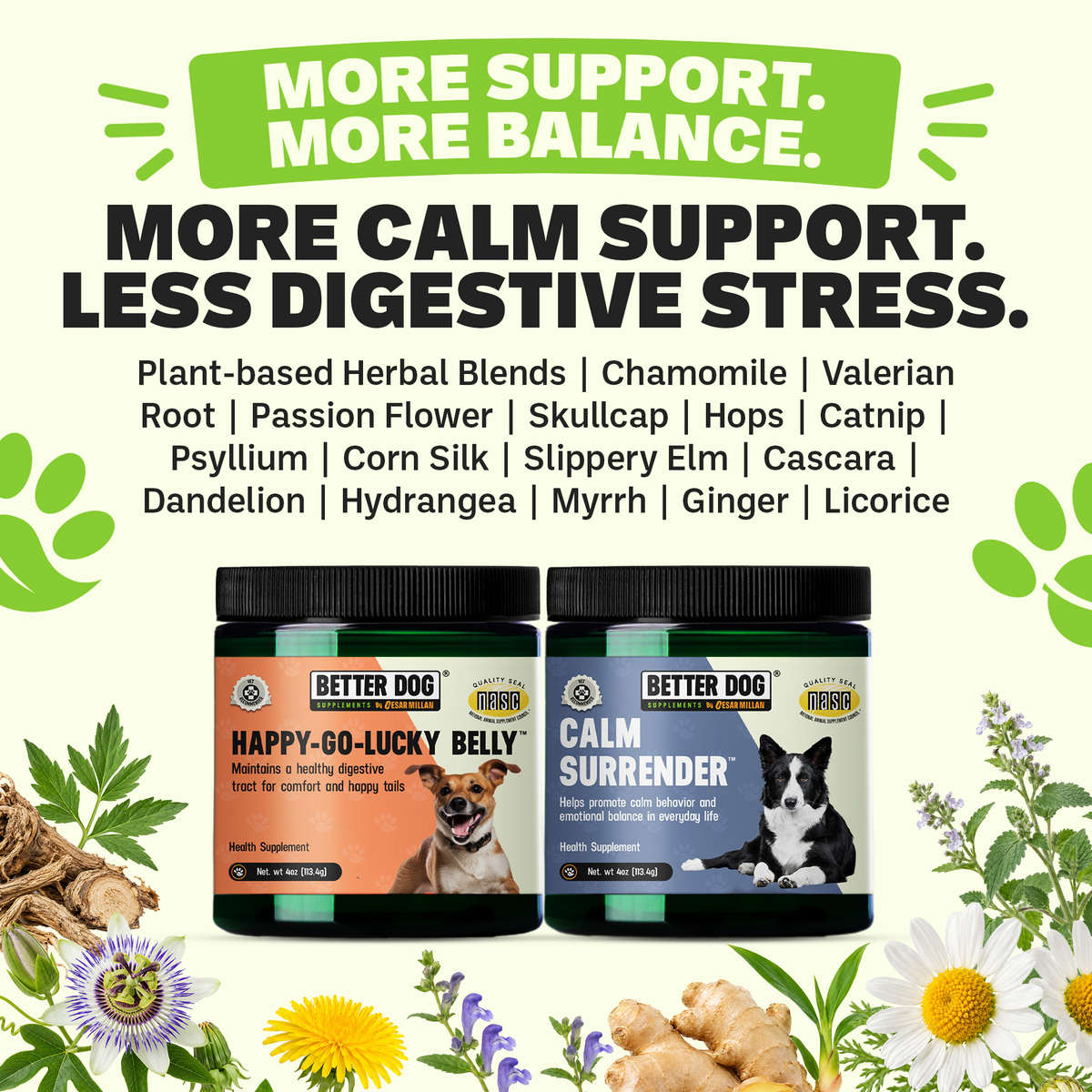 Calm Mind, Calm Belly Bundle