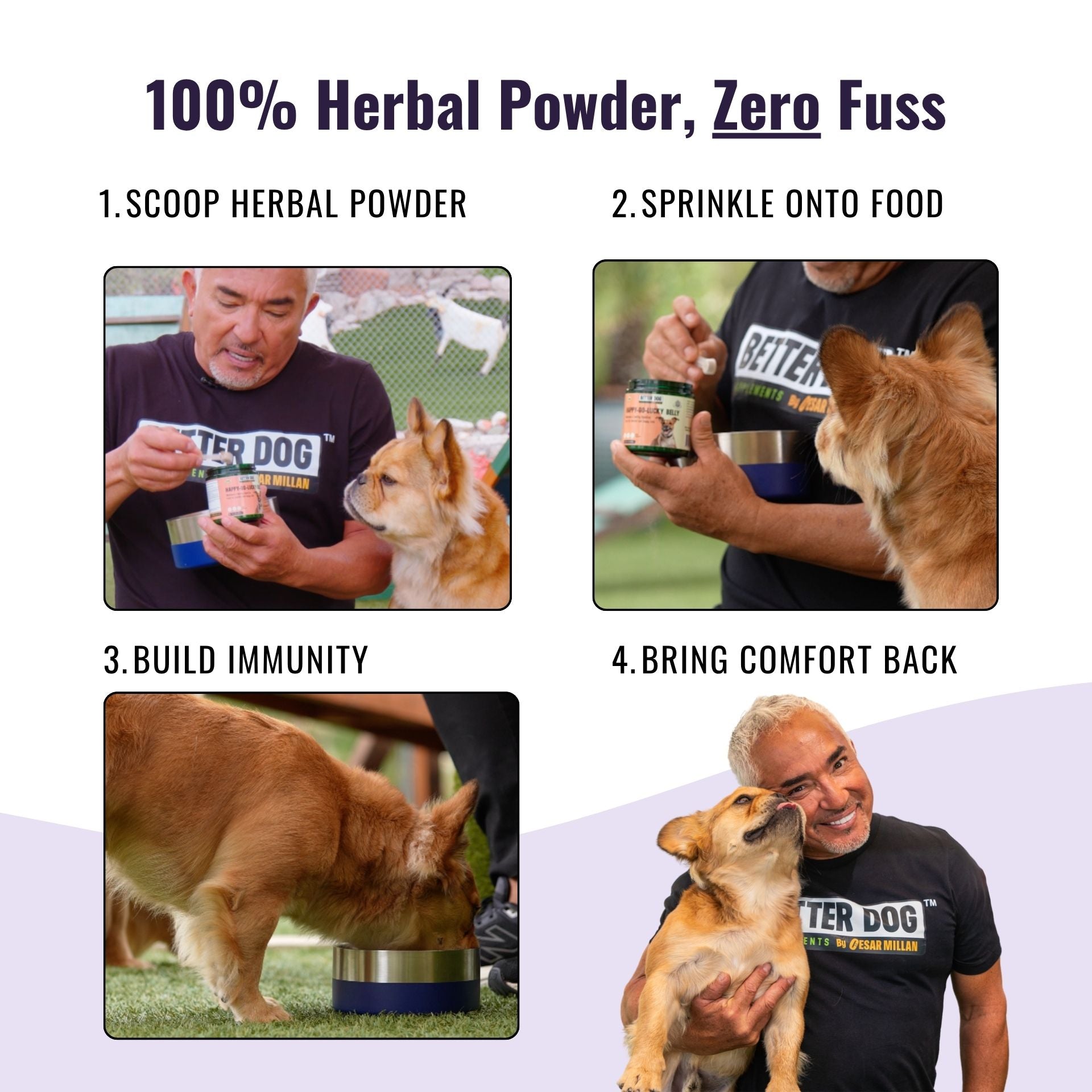 Better Dog Junior™