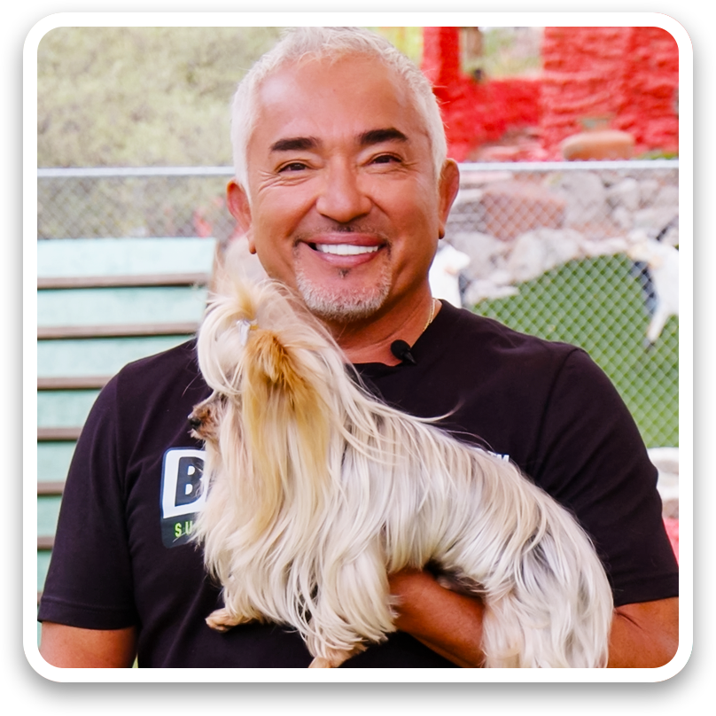 Man holding a small white dog with a blurred background