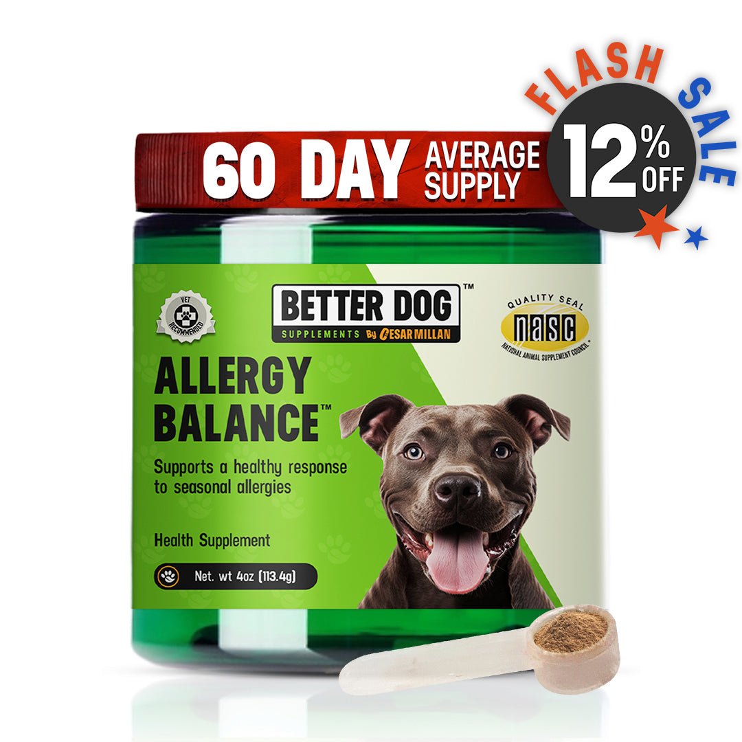 Dog Health Concerns & Wellness – Better Dog USA – Better Dog