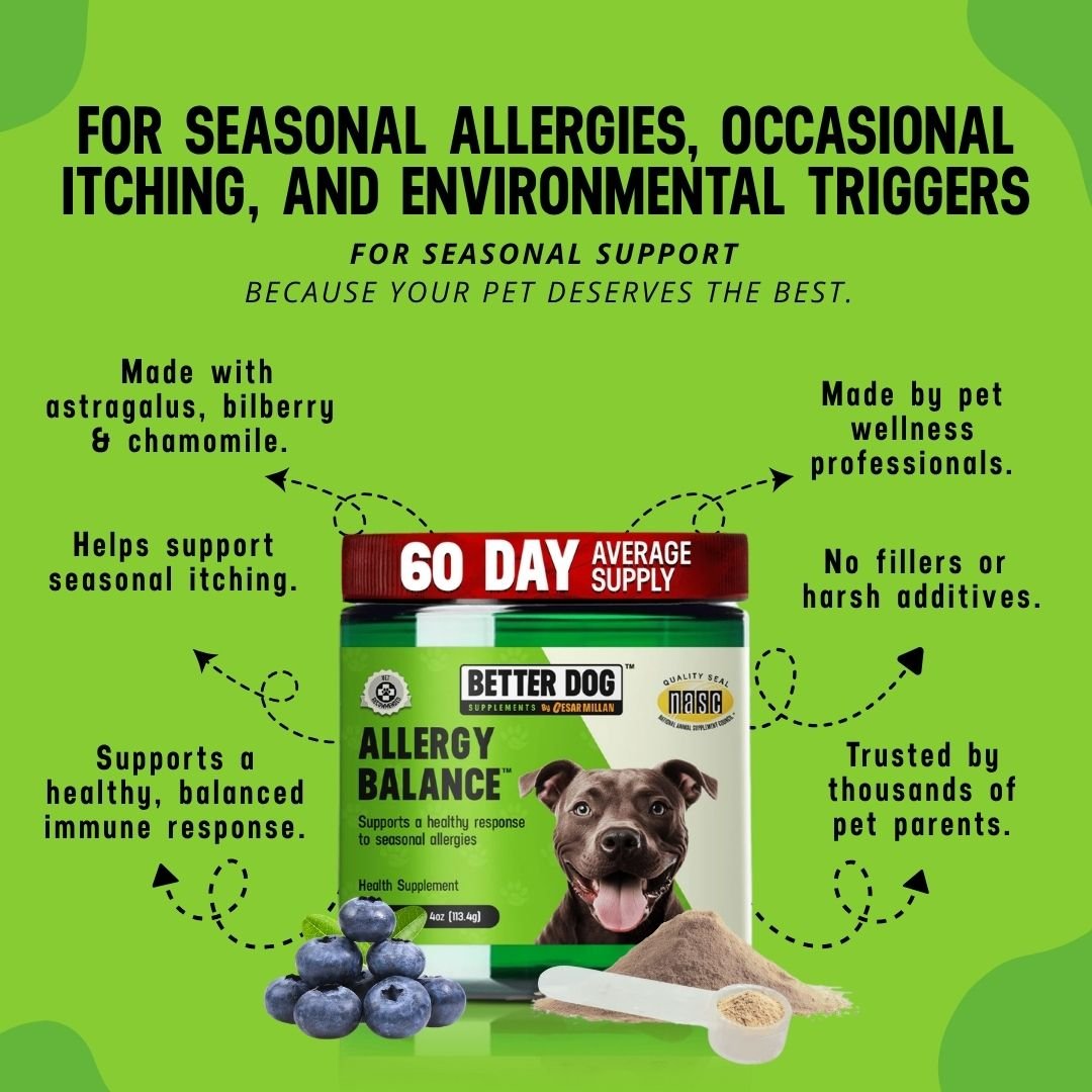Allergy Balance™ - Better Dog Supplements