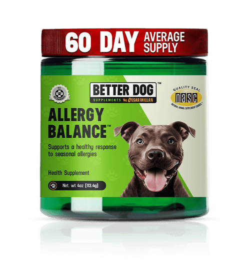 Allergy Balance - Better Dog Supplements