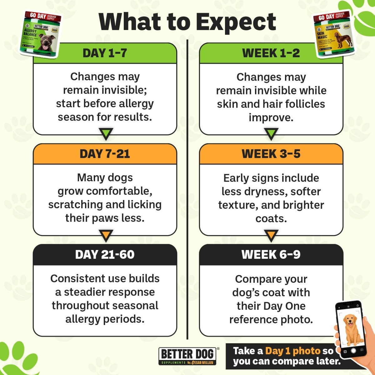 Allergy Balance + Skin Magic™ - Better Dog Supplements
