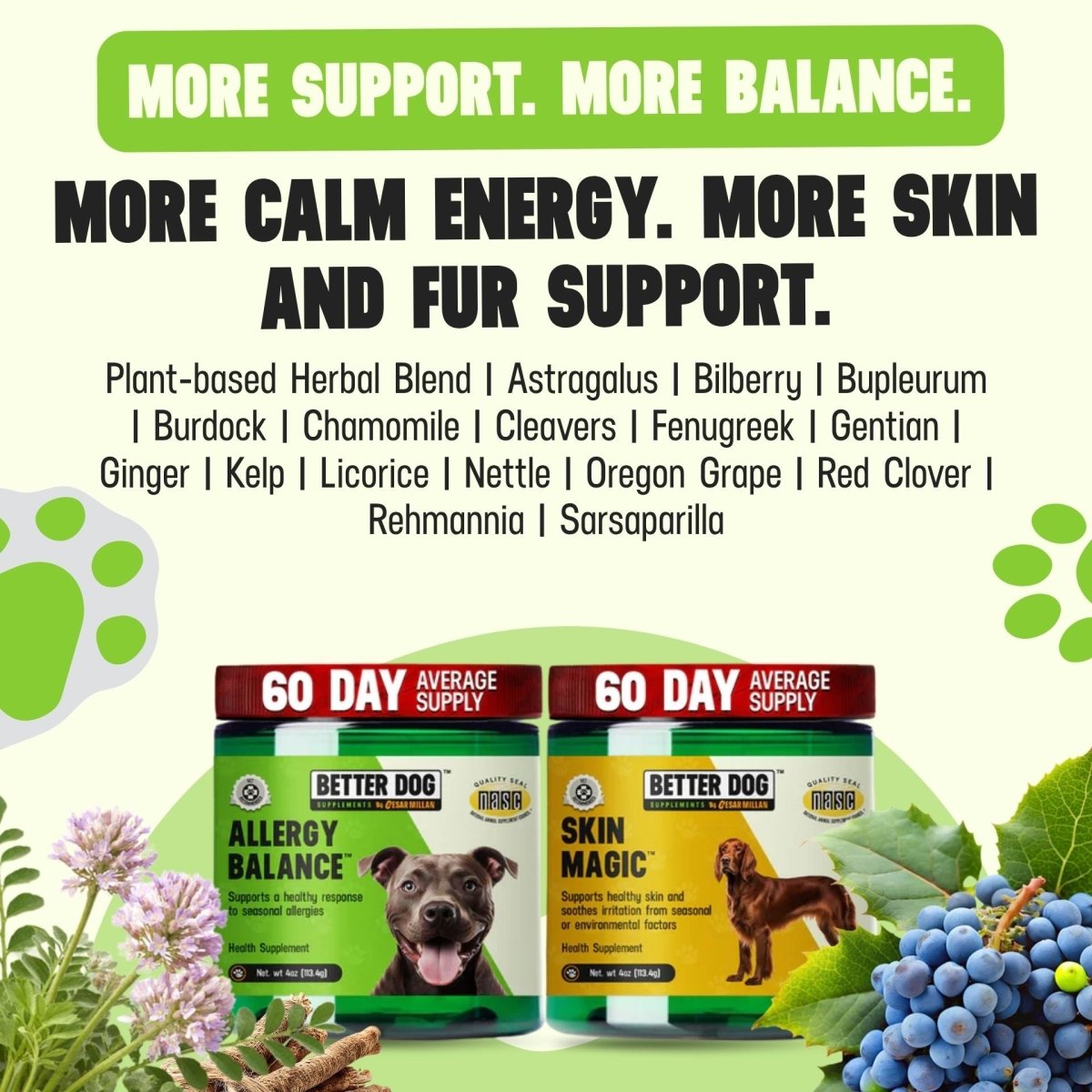 Allergy + Skin™ - Better Dog Supplements
