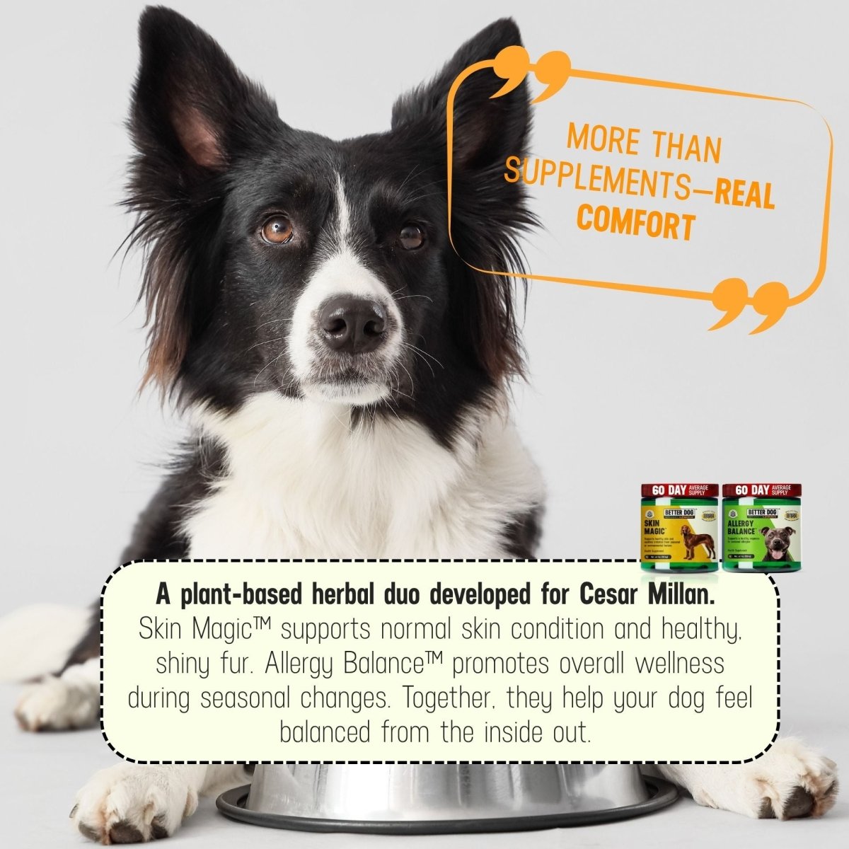 Allergy + Skin™ - Better Dog Supplements