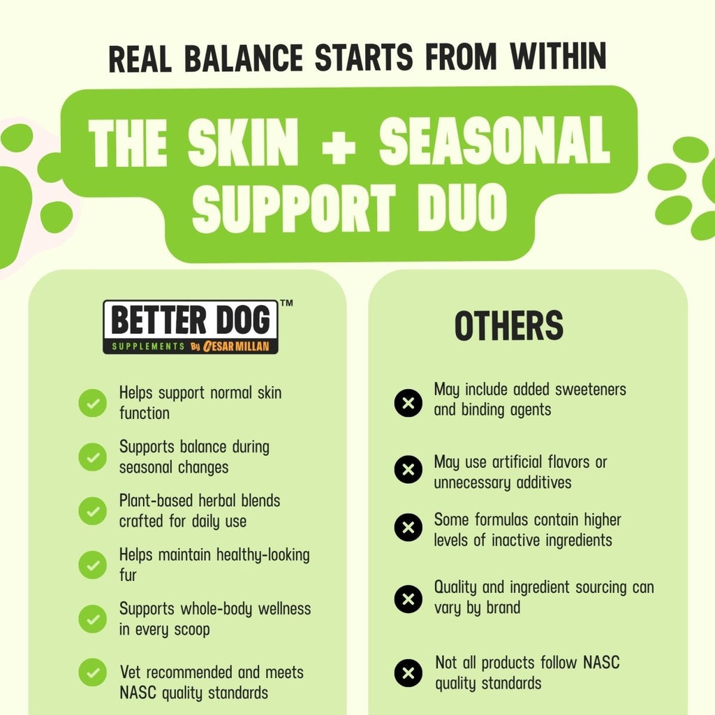 Allergy + Skin™ - Better Dog Supplements