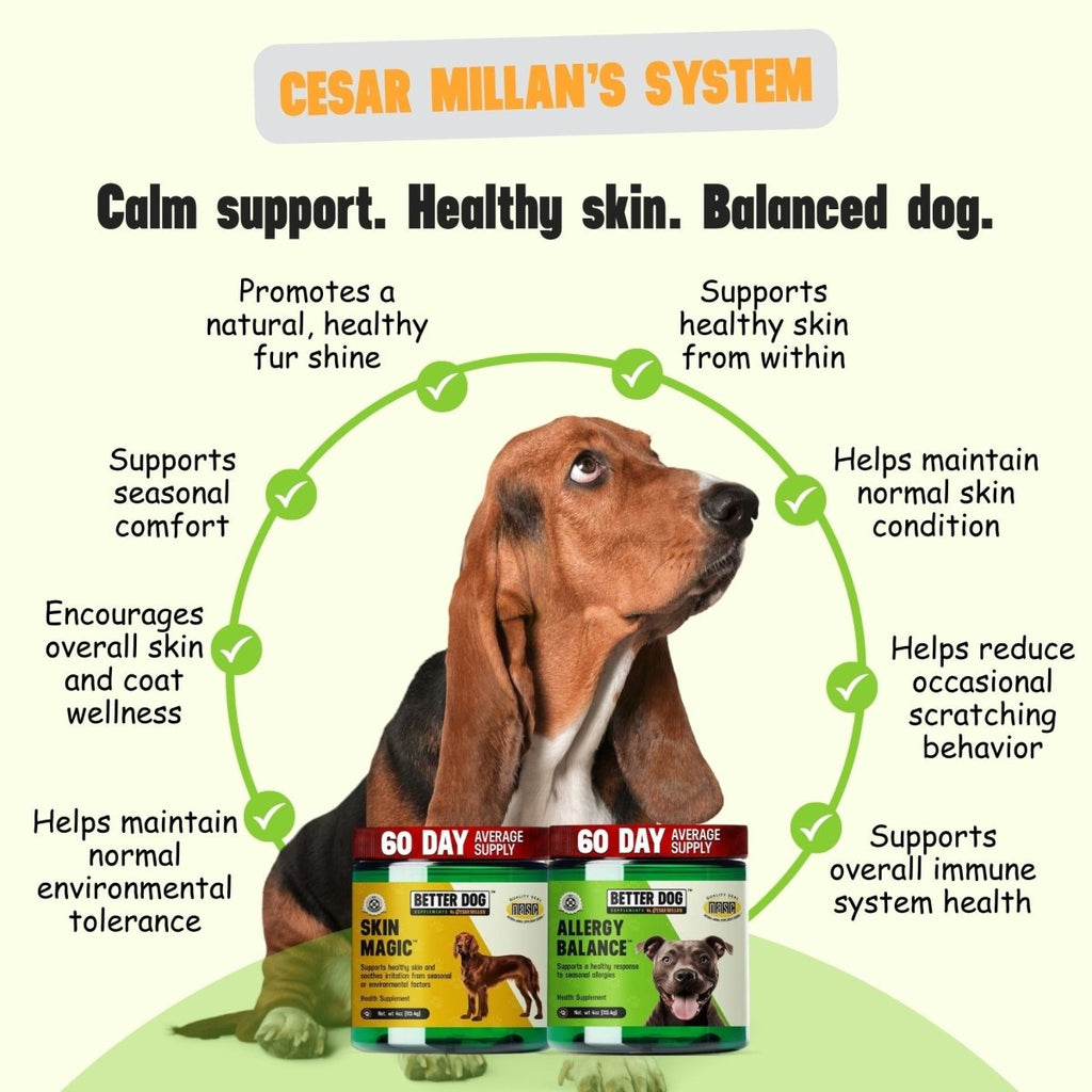 Allergy + Skin™ - Better Dog Supplements