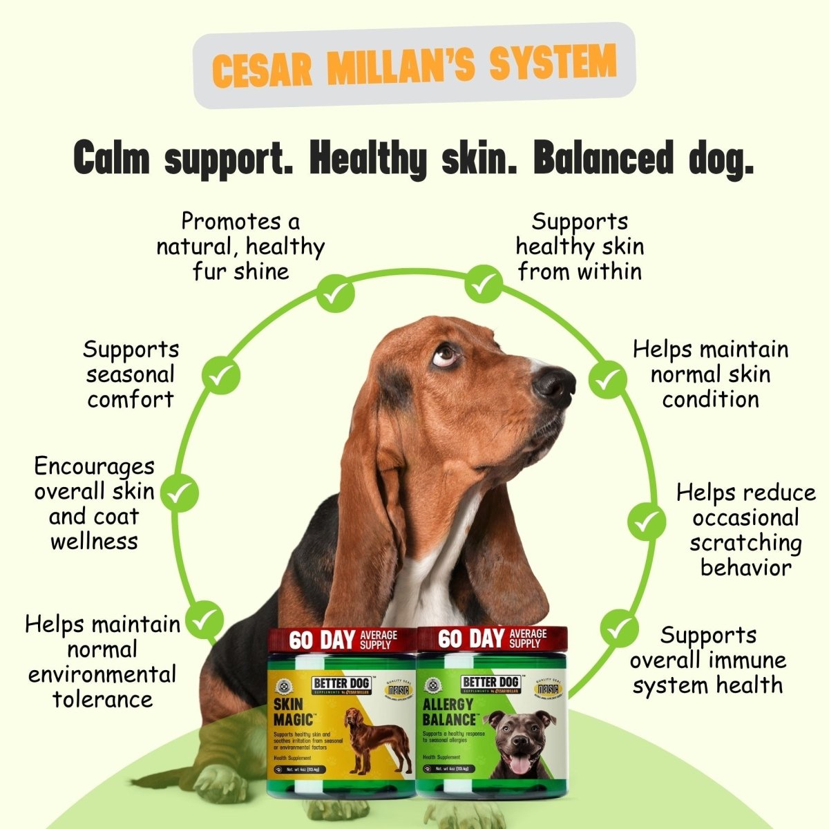 Allergy + Skin™ - Better Dog Supplements