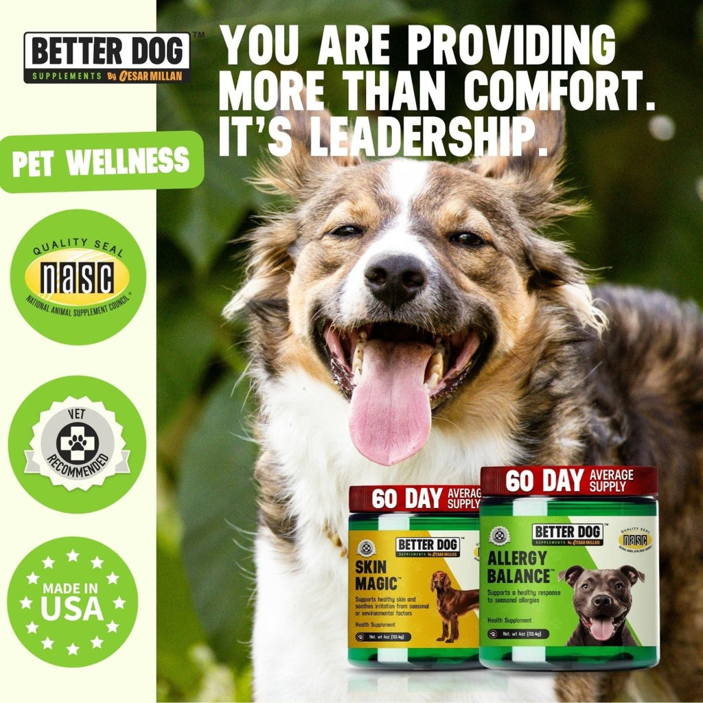 Allergy + Skin™ - Better Dog Supplements
