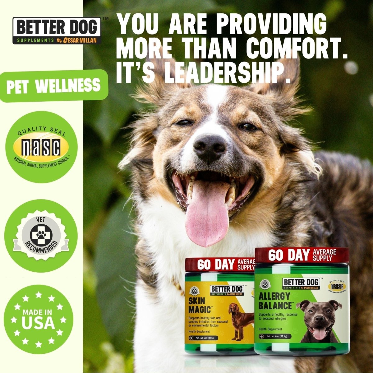 Allergy + Skin™ - Better Dog Supplements