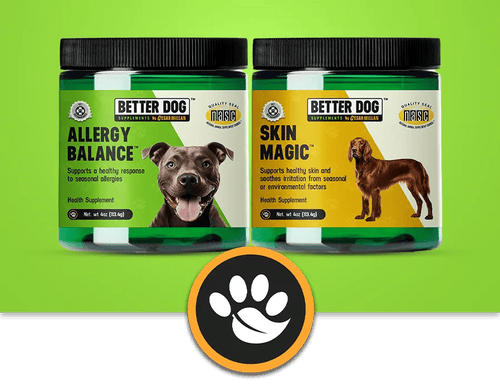 Allergy + Skin - Better Dog Supplements