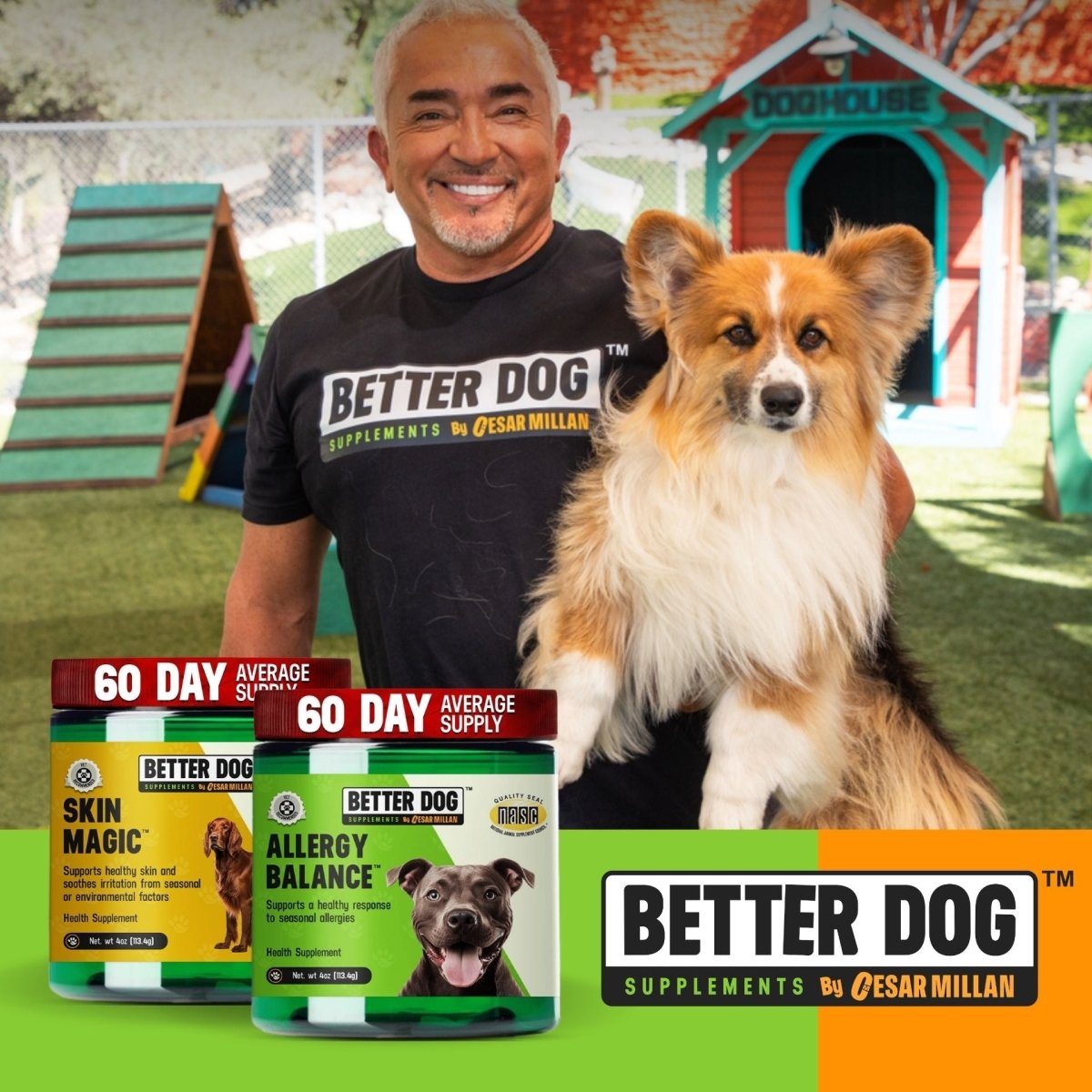 Allergy + Skin™ - Better Dog Supplements