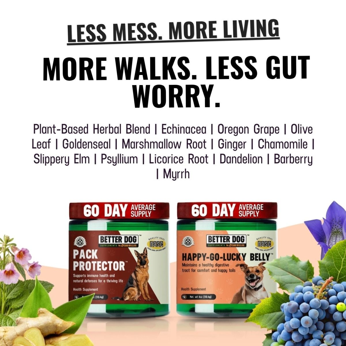 Balance Bundle™ - Better Dog Supplements
