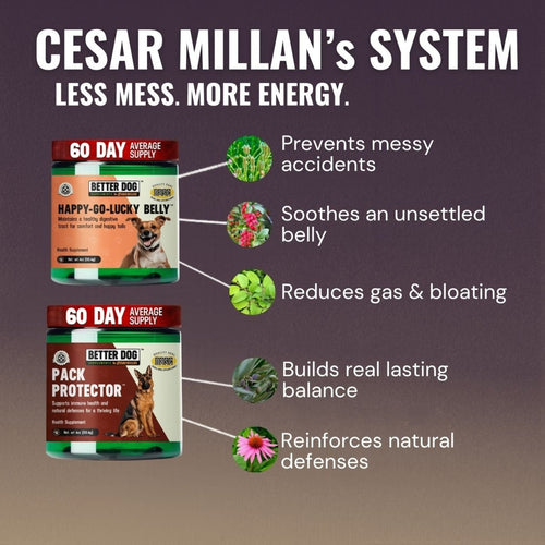 Balance Bundle™ - Better Dog Supplements