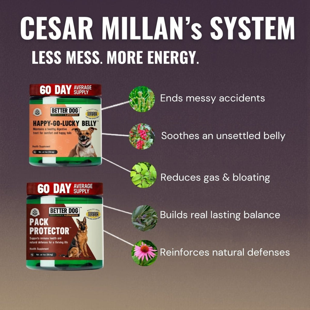 Balance Bundle™ - Better Dog Supplements