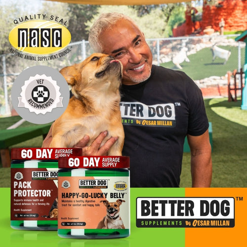 Balance Bundle™ - Better Dog Supplements