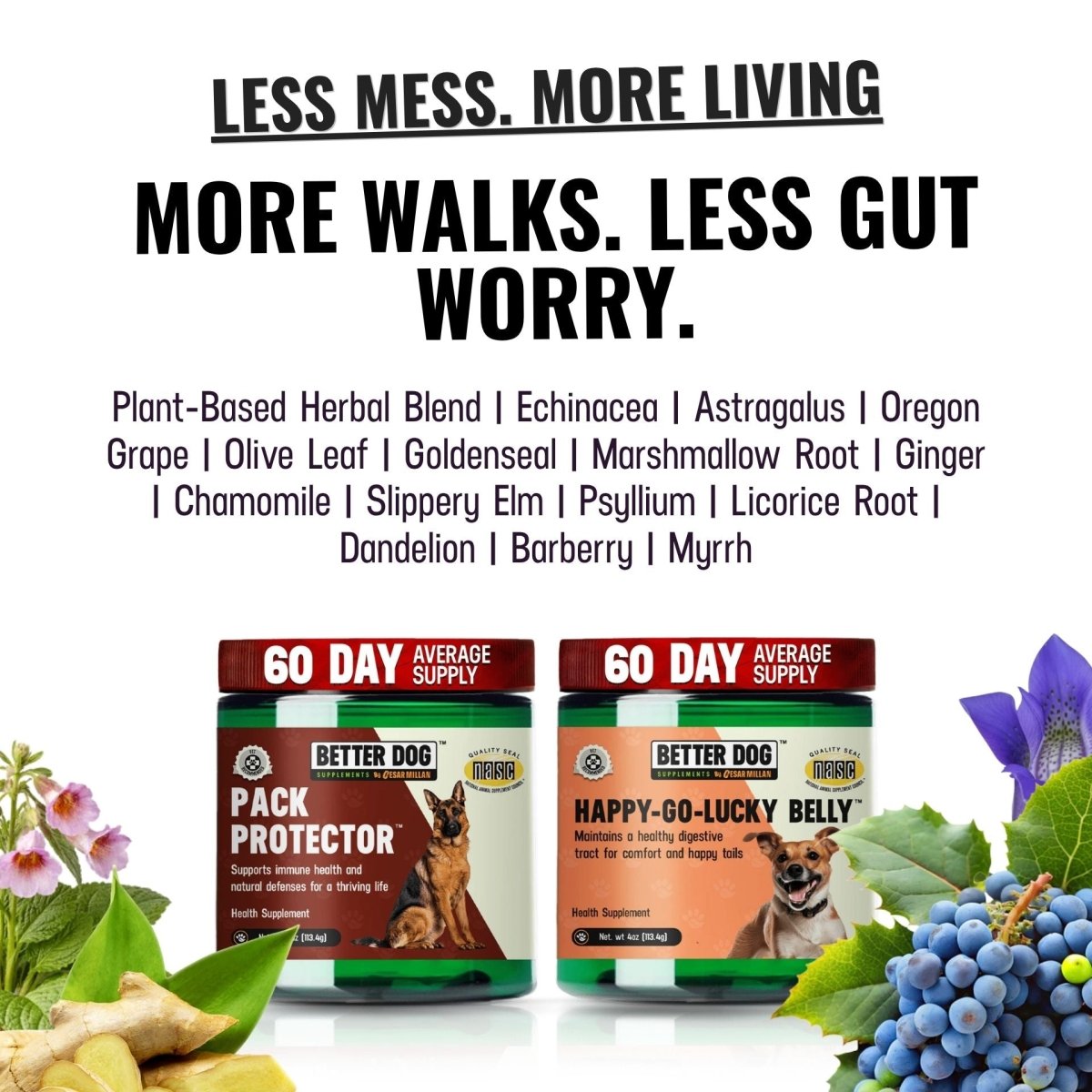Balance Bundle™ - Better Dog Supplements