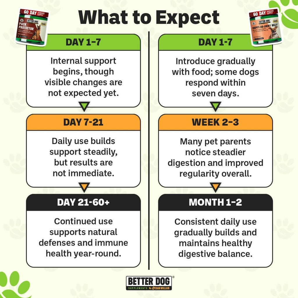 Balance Bundle™ - Better Dog Supplements