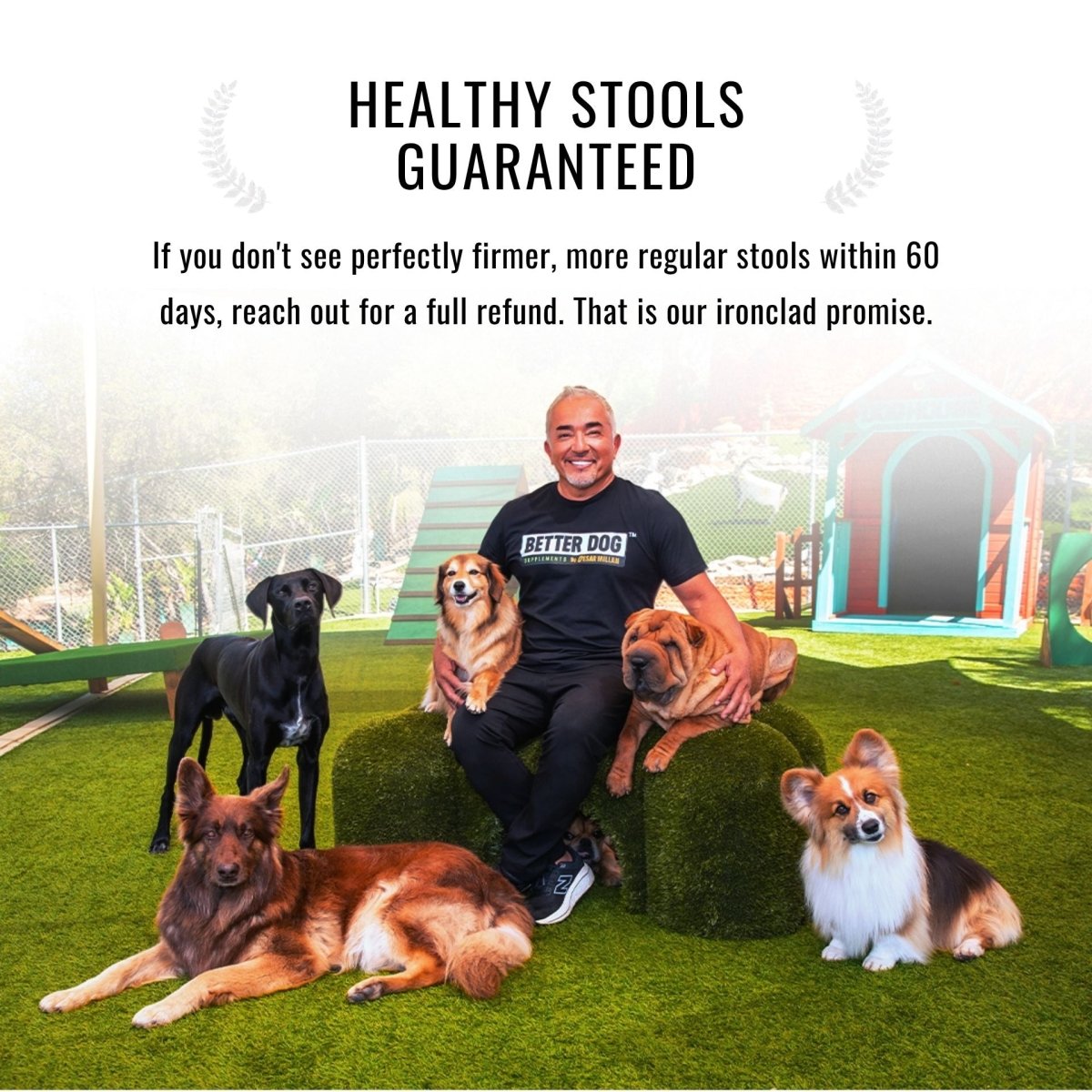 Balance Bundle™ - Better Dog Supplements