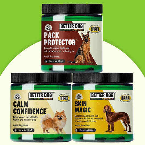 Better Dog Adult - Better Dog Supplements