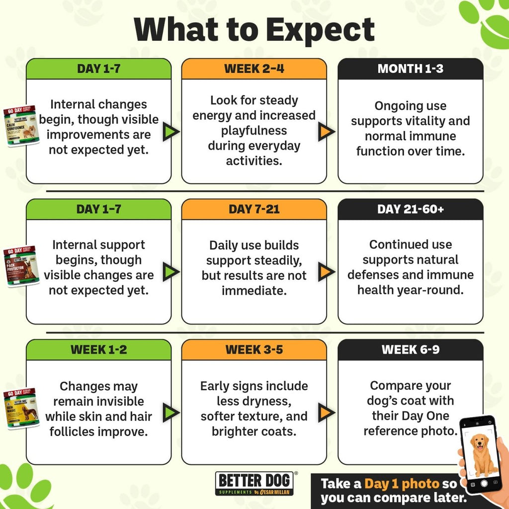 Better Dog Adult™ - Better Dog Supplements
