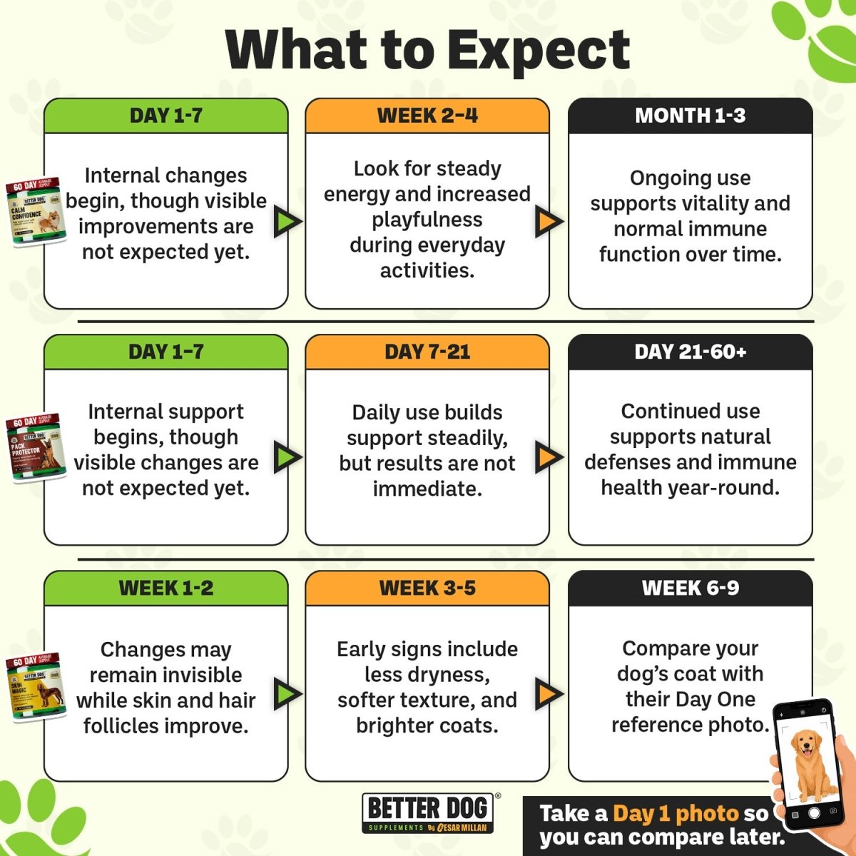 Better Dog Adult™ - Better Dog Supplements