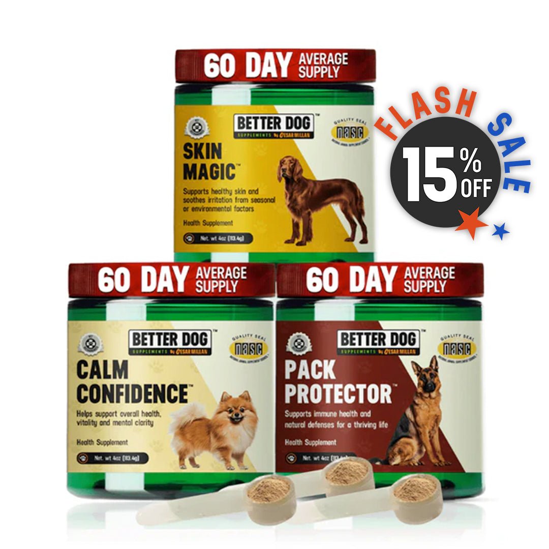 【中古】「未使用品」［CD］SUPER BETTER BETTER DOG Better Dog Adult™ – Better Dog Supplements