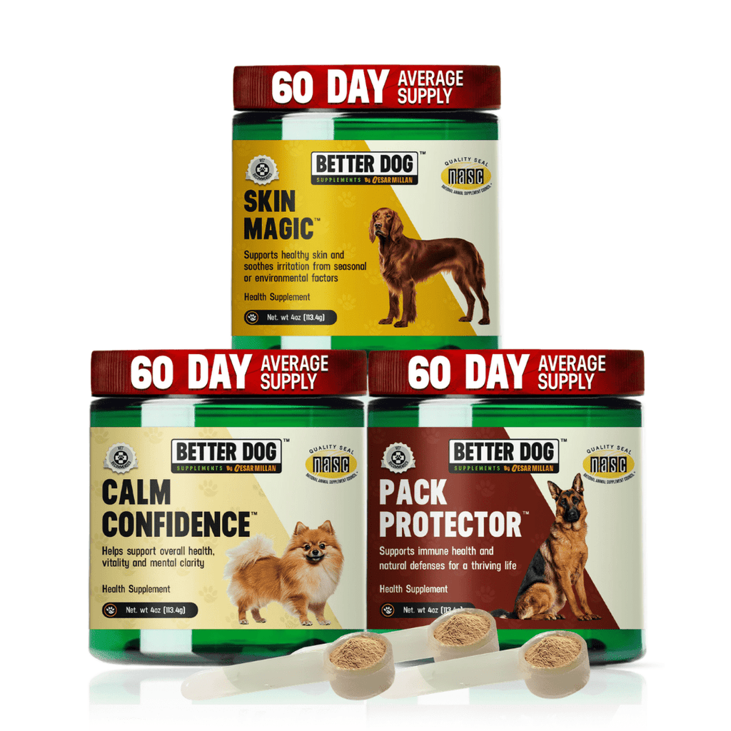 Better Dog Adult™ - Better Dog Supplements