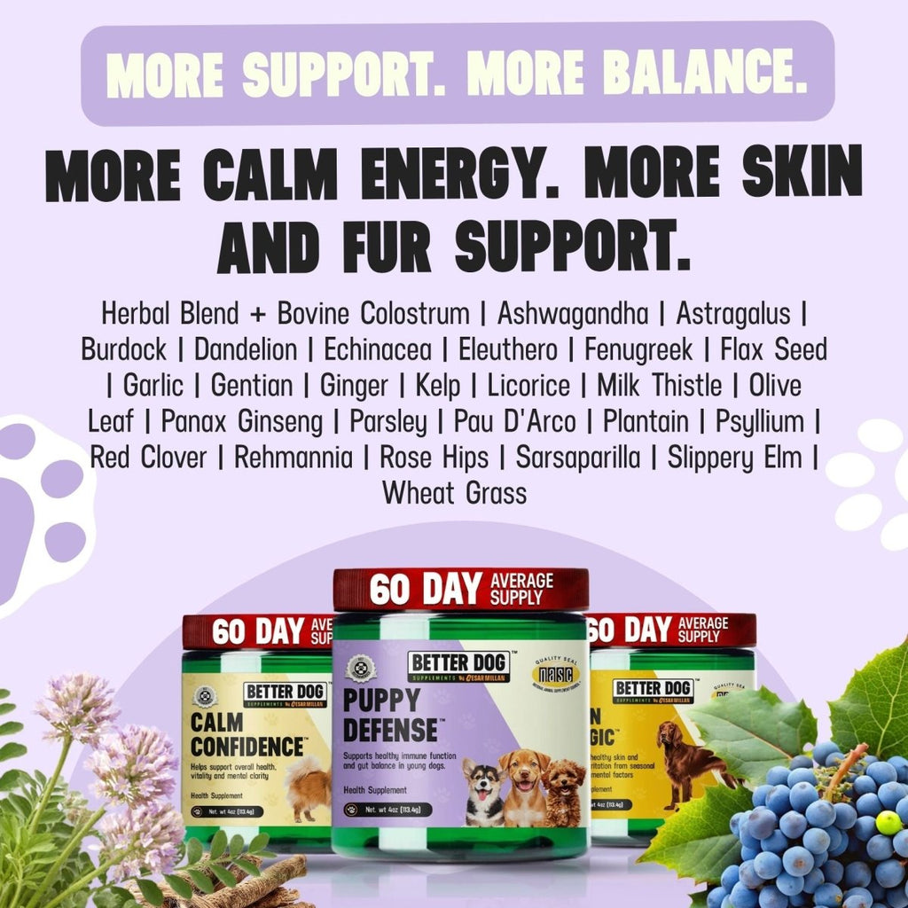 Better Dog Junior™ - Better Dog Supplements