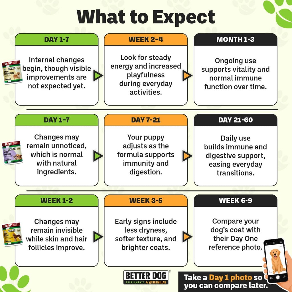 Better Dog Junior™ - Better Dog Supplements
