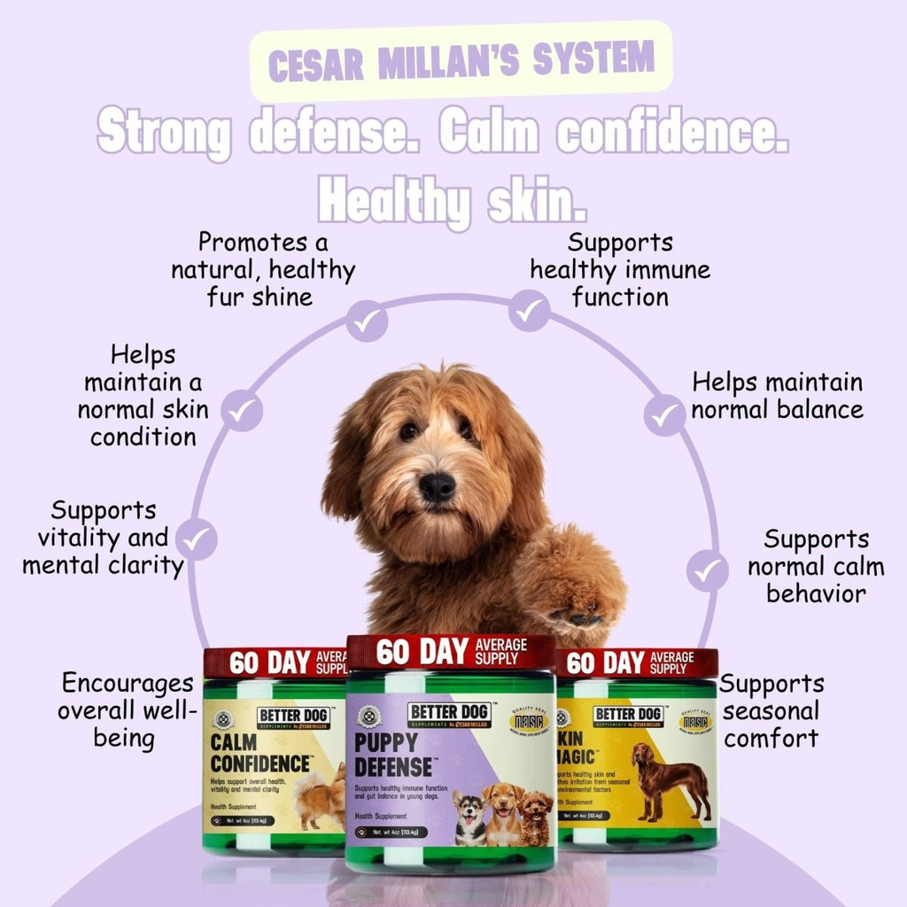 Better Dog Junior™ - Better Dog Supplements