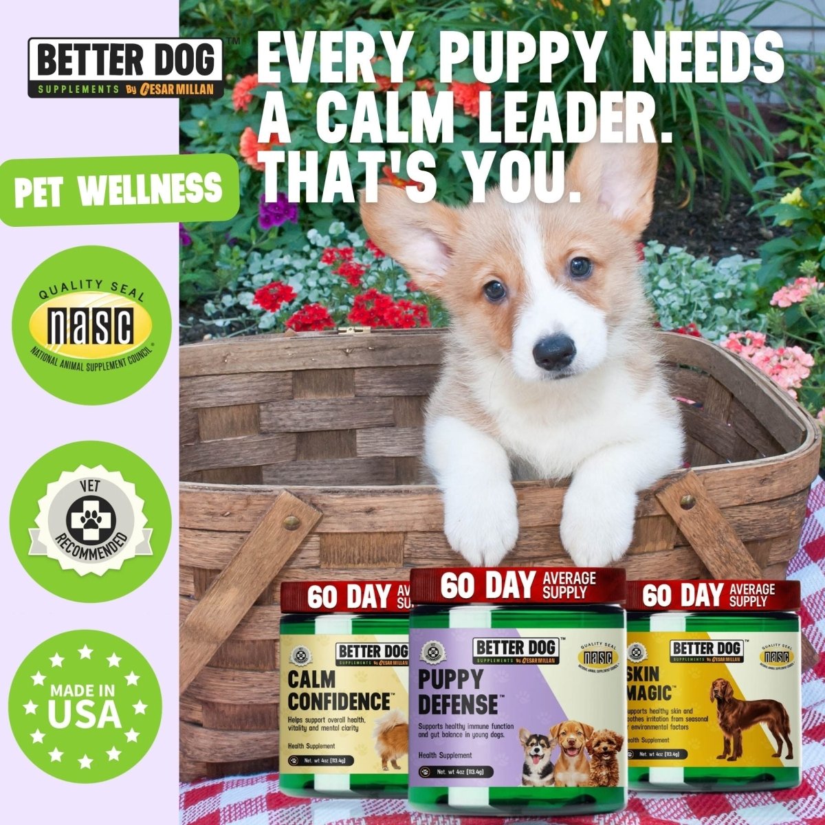 Better Dog Junior™ - Better Dog Supplements