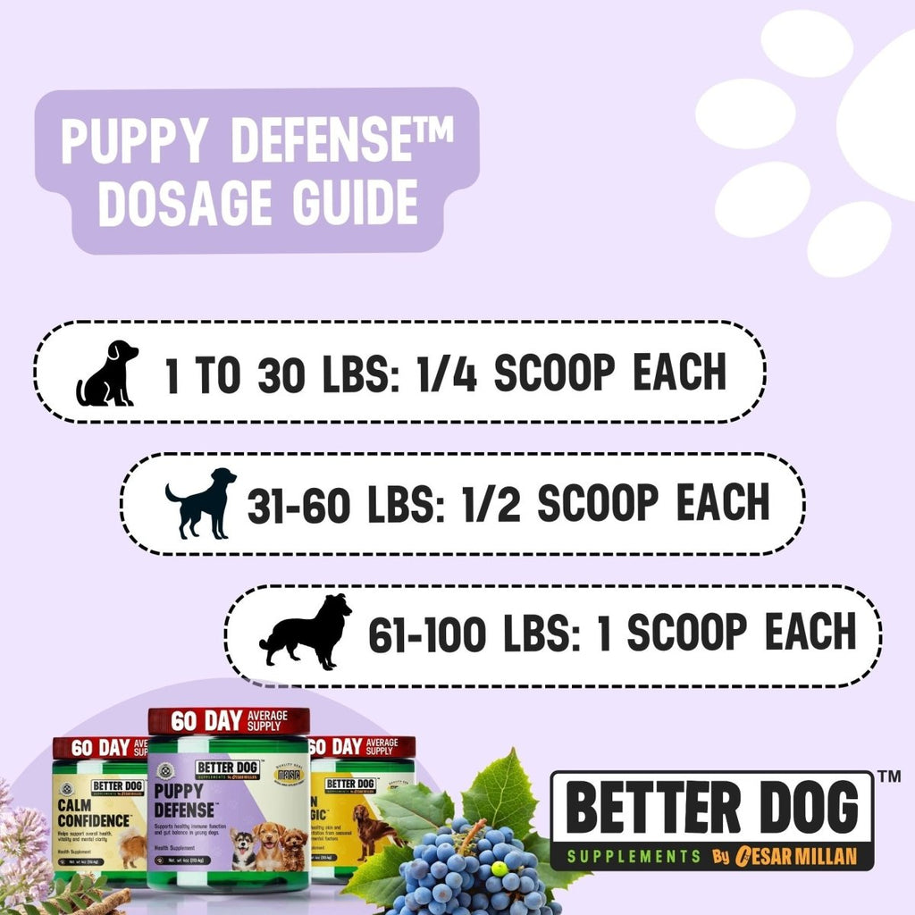 Better Dog Junior™ - Better Dog Supplements