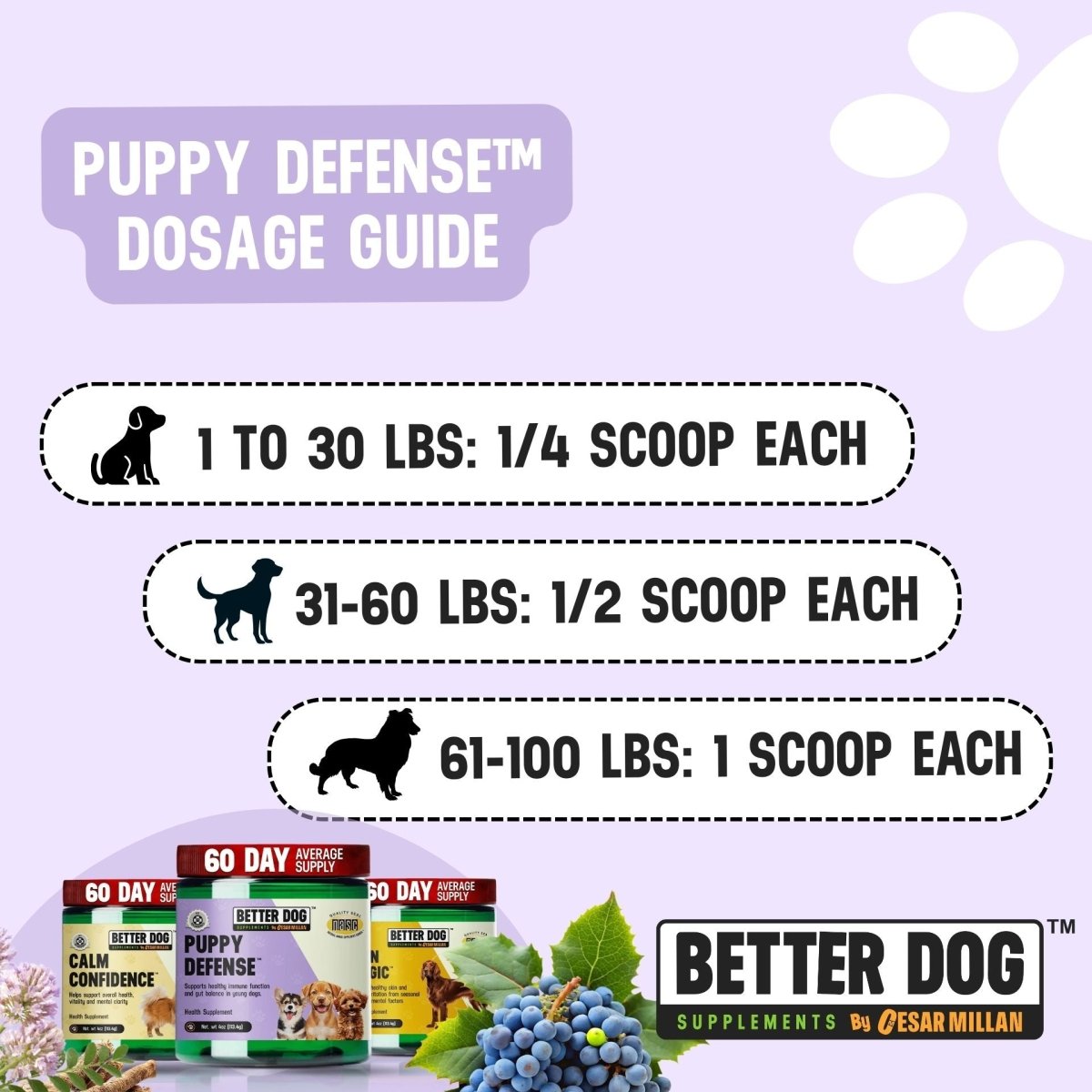 Better Dog Junior™ - Better Dog Supplements