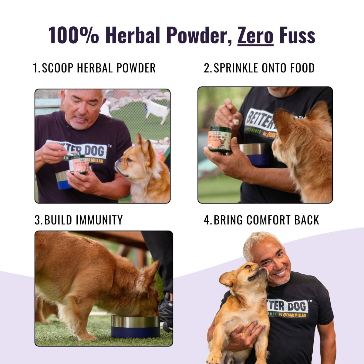 Better Dog Junior™ - Better Dog Supplements
