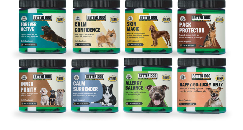 Lineup of Better Dog Supplements jars including Forever Active, Calm Confidence, Skin Magic, Pack Protector, Inner Purity, Calm Surrender, Allergy Balance, and Happy-Go-Lucky Belly.